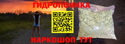 МДПВ Рузаевка