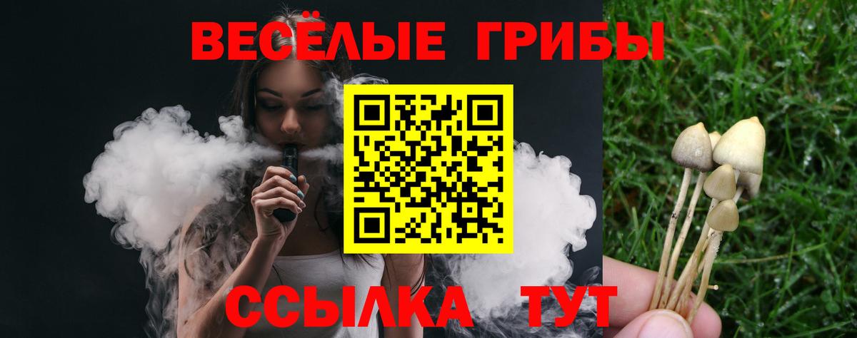 Псилоцибиновые грибы Psilocybe  Вход с VPN  Ртищево 